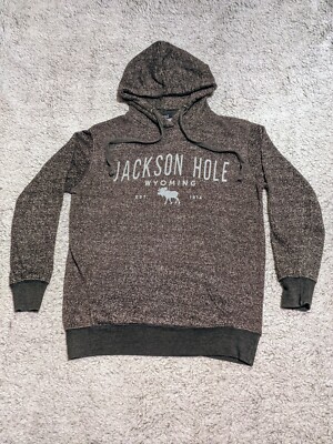 jackson hole wy lightweight hoodie excellent condition