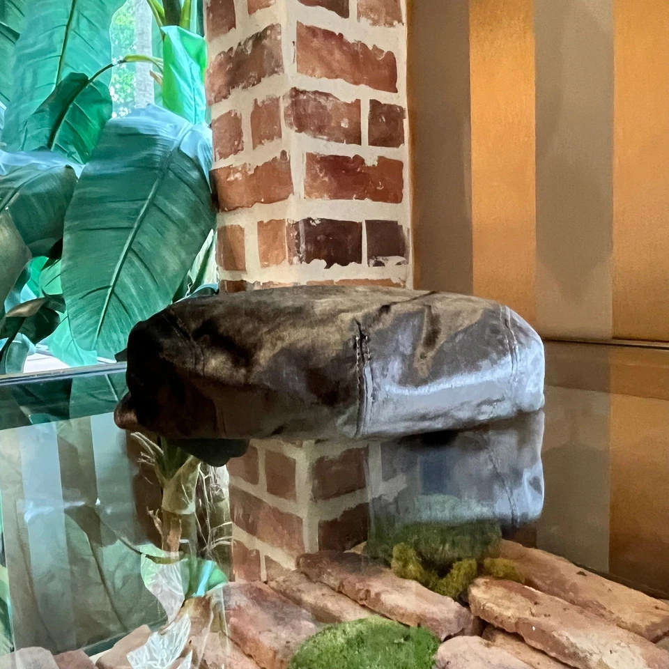 DOLCE & GABBANA Newsboy Hat Gray Velvet Hat SZ58 - Image 2 of 4