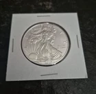 2019 American Silver Eagle — photo from another recent sale