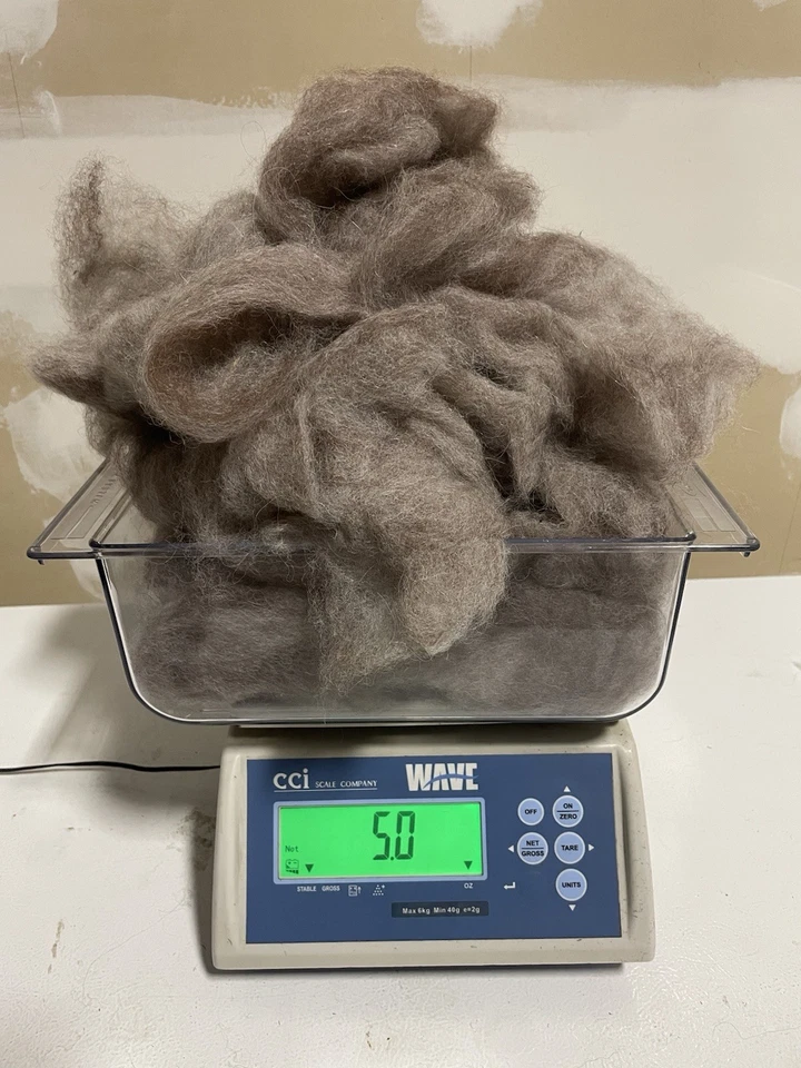 Alpaca Wool Fiber Fleece Spin Felting Washed Cleaned 1st Cut Long Fiber - Image 3 of 3