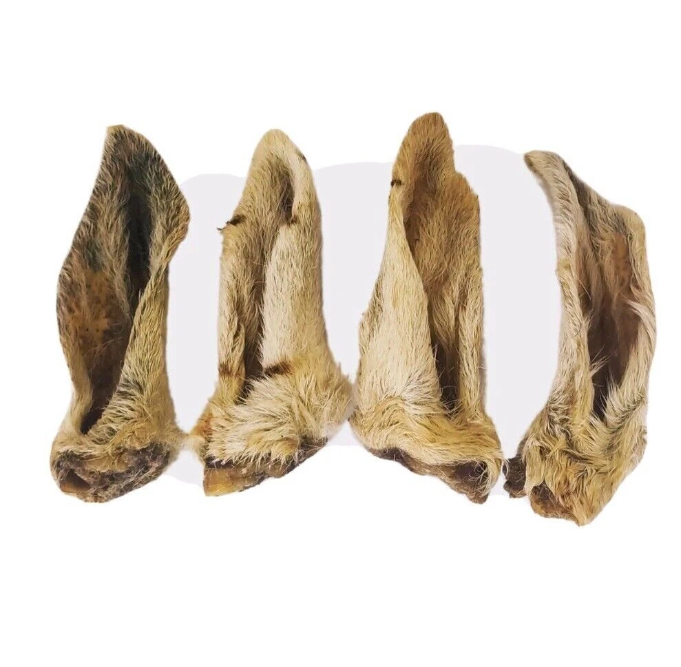 Lamb ears hot sale for dogs