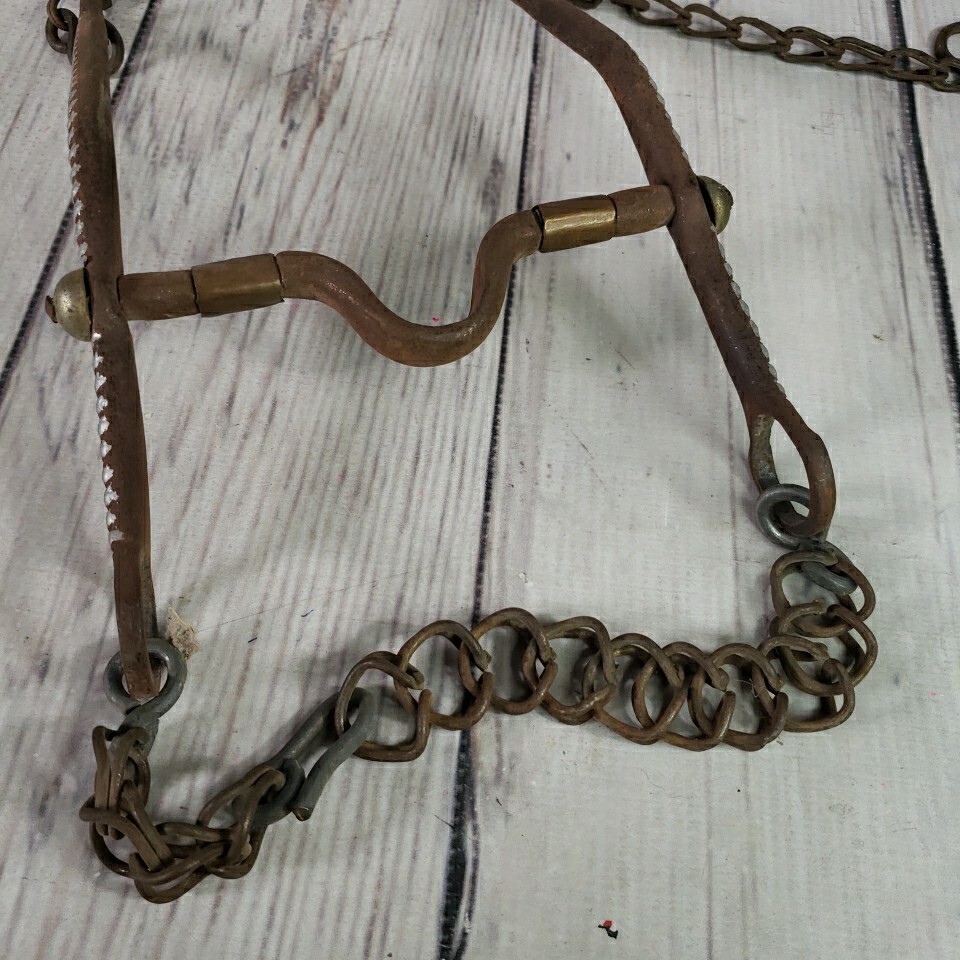 Spanish Mexican Horse Bit with Rein Chains Hand W/ COPPER