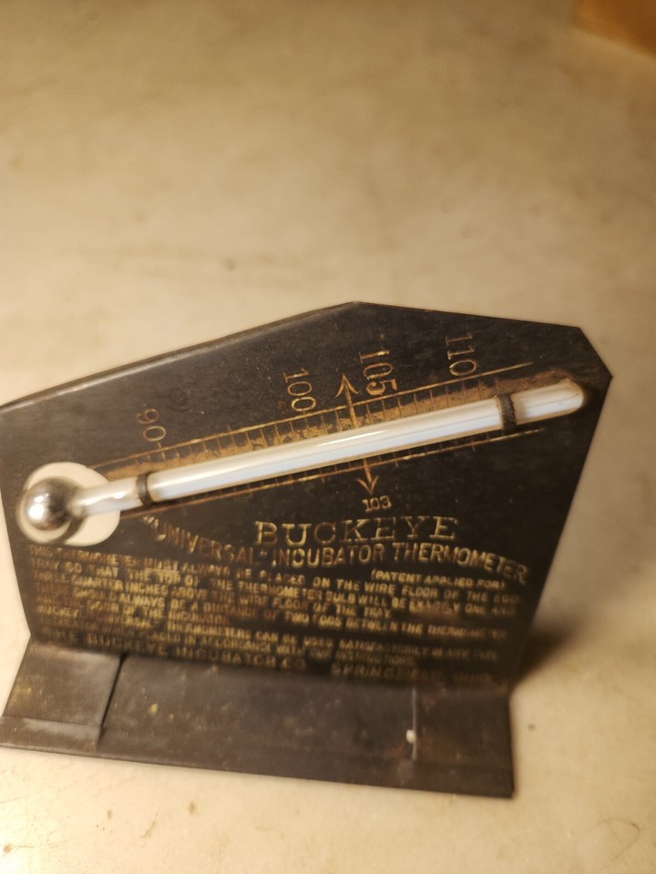Antique BUCKEYE INCUBATOR THERMOMETER Chicken Egg Springfield Ohio Farm
