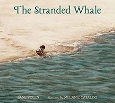 The Stranded Whale Picture Book Jane Yolen