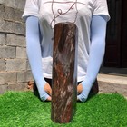 22.6LB Natural wood fossil quartz crystal mineral specimens healing — photo 5