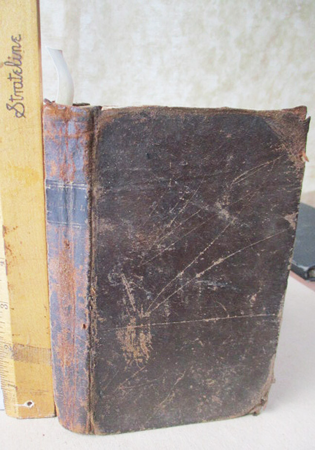 Early 1800s Journal of Amos G. Babcock Massachusetts Edited by B. Waterhouse-image