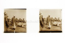 Maroc Maghreb Chameaux Scène orientaliste Plaque de verre positive ca 1910