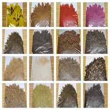 Nimrod's Tackle GENETIC HEN SADDLES SOFT HACKLE FOR FLY TYING YOU PICK COLOR