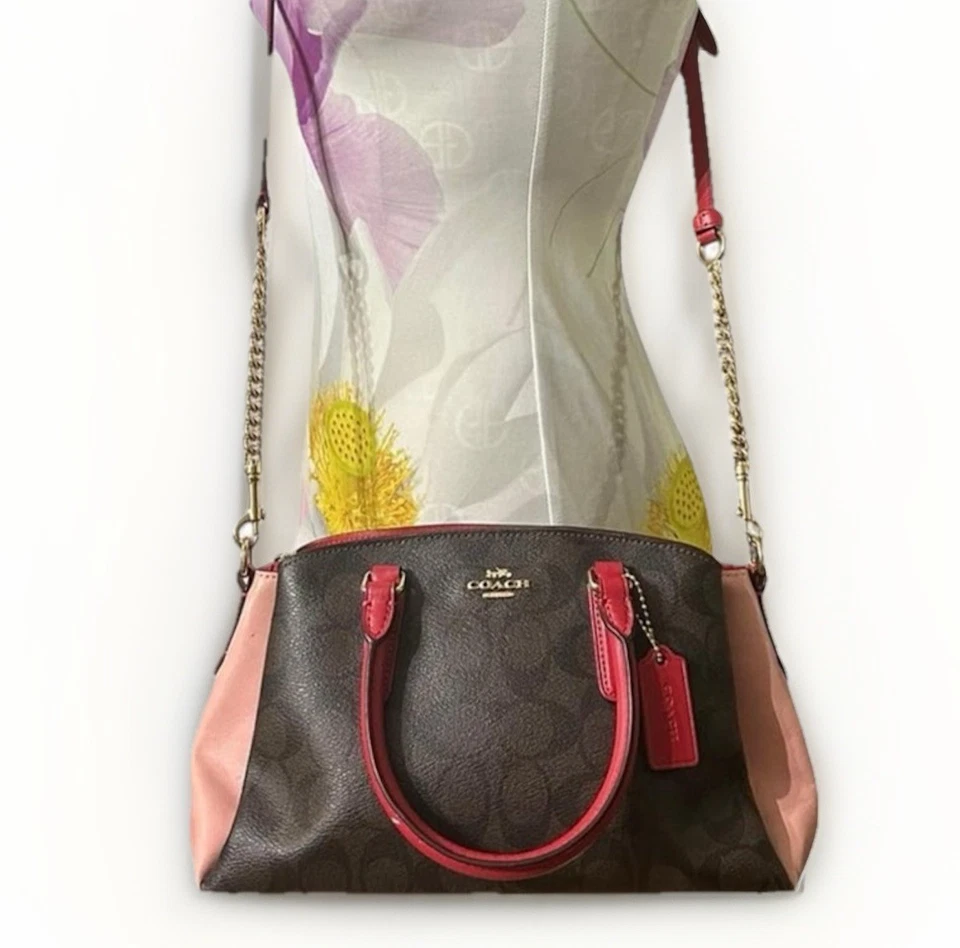 Mini Carryall Coach Lillie Signature Lona Colorblock Cuero Foto 2 de 4