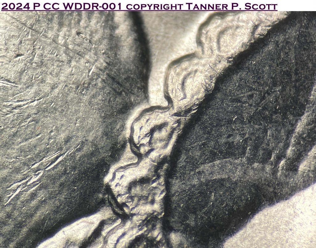 2024 Celia Cruz Discovery WDDO-002 WDDR-001 Sleeve American Women