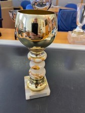 Pokal goldfarben 21,5 cm