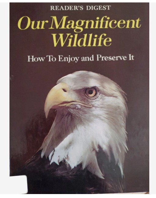 Our Magnificent Wildlife by Reader's Digest (Hardback, 1975)