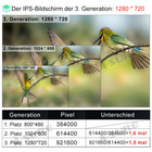 Bild 8 von 13
