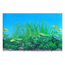 Fish Tank Background Sticker Fishtank Wallpaper for Water Plants