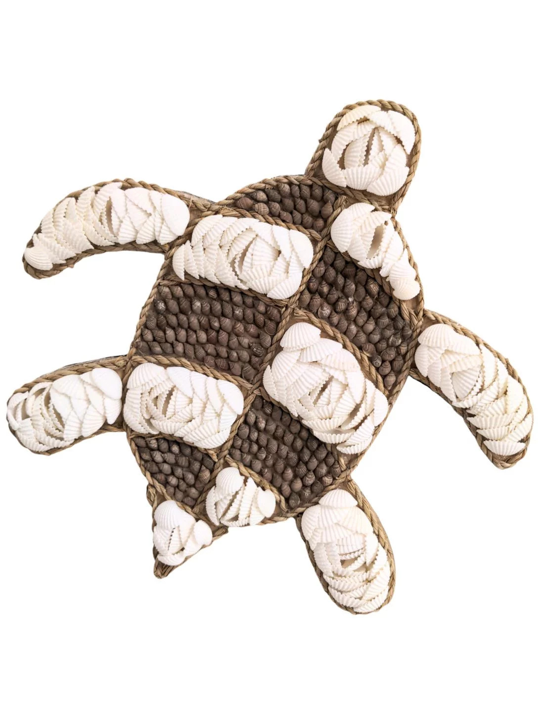 Tortue en Coquillages 25cm pour Décoration Murale Salon et Salle de Bain