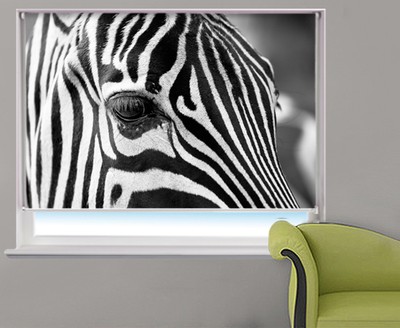 Digital Print Photo Roller Blind Zebra Close Up Animal Picture Blackout