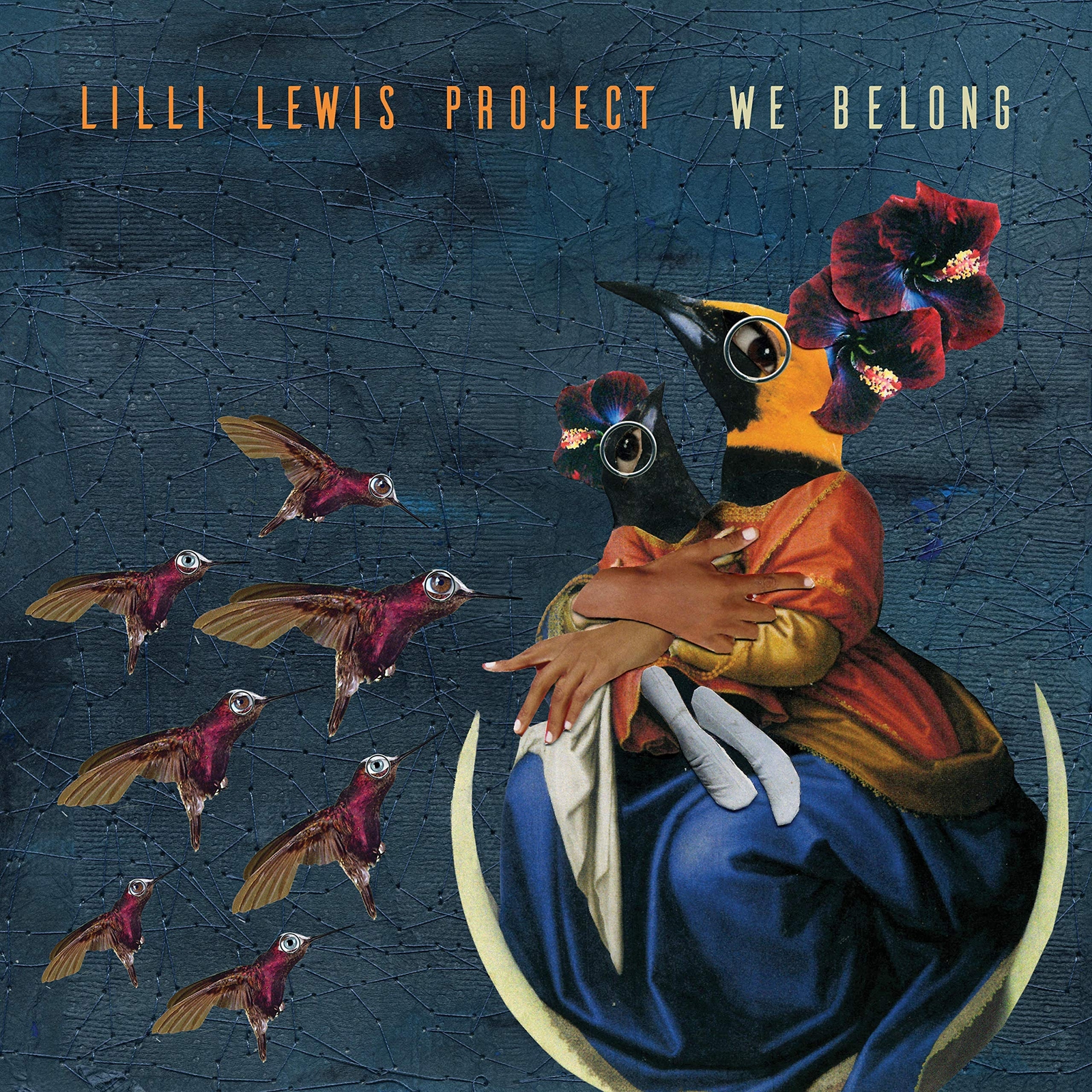 The Lilli Lewis Project We Belong (CD)