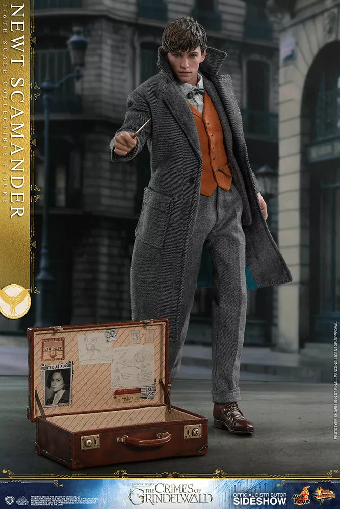 1 6 Fantastic Beasts Newt Scamander MMS Hot Toys 904194 eBay