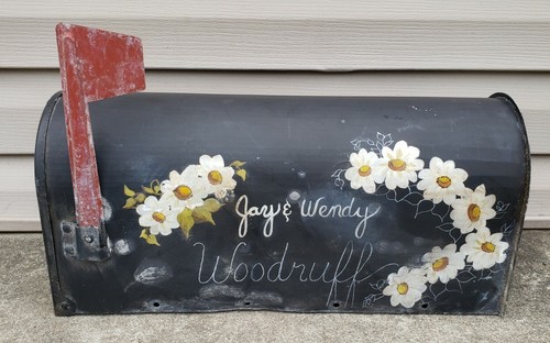 Vintage Metal Rural Country Folk Art Painted Woodruff Name Mailbox Jackes Evans
