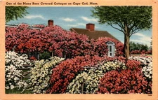 Cape Cod, Mass, TICHNOR BROS., INC., BOSTON, UNITED Postcard