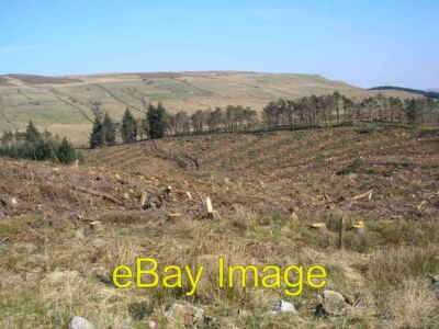 Photo 6x4 Logged out Grisdale Lunds conifer plantation after almost compl c2007