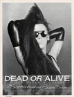 Sophisticated Boom Boom Dead or Alive Album Poster Trade Print Ad 80s Original