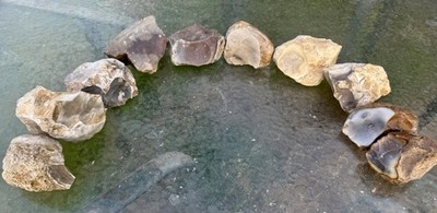 GREAT* 10 Pc/19# Lot Texas Chert/Flint *High Quality* Large Stones Flintknapping