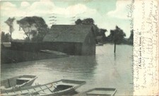 VENICE ILLINOIS BACK YARD original antique po...