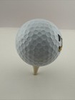 Vintage Disney Pluto Golf Ball Club de Golf No.1 Collectible Logo Ball — photo 3