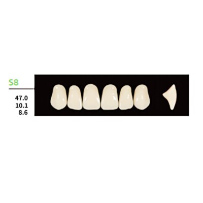 1×Dental Synthetic Polymer Resin False Teeth Denture Square Anterior Upper S8 A1