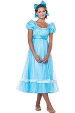 Wendy Adult Costume Dress 5024-053 Peter Pan