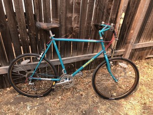 nishiki cascade mountain bike