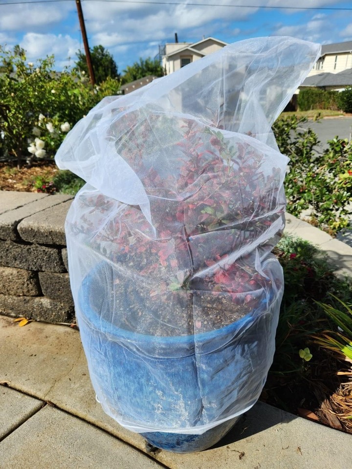 Fruit Tree Protection Bags 3.5x2.5 FT in 4 Pack Multiple Size Garden