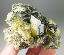 Epidote, Diopside - Lake Falin, Usseglio, Turin, Piedmont, Italy