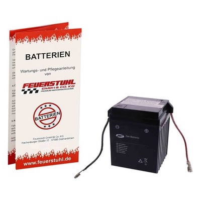 Batterie GEL Yamaha RS 100 /DX, 1977-1981, 1Y8, wartungsfrei, inkl 7,50  Pfand