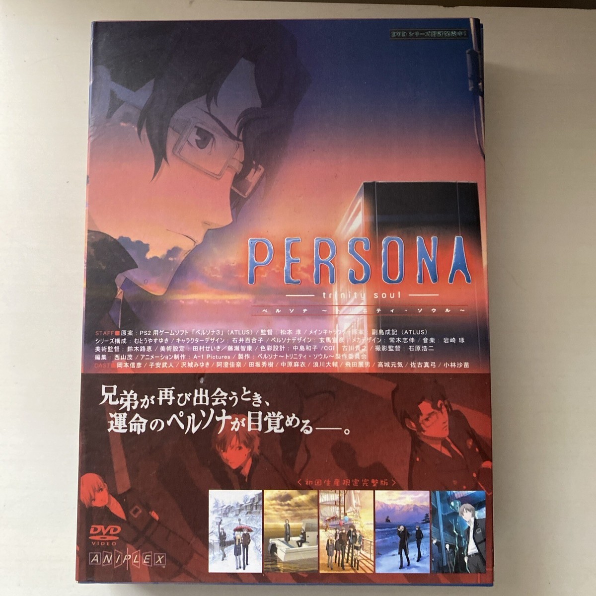 PERSONA - trinity soul - DVD 全巻 BOX付き PERSONA -trinity soul- DVD Box 10 Volume Set Booklet CD PS2 Game