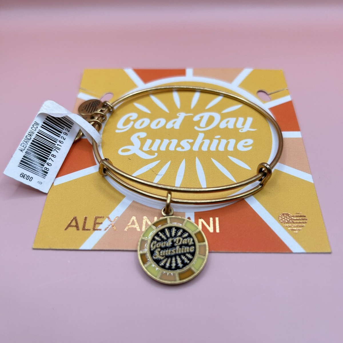 Charm Bracelet Alex And Ani Sun Anklet Alex And Ani Pink Epoxy