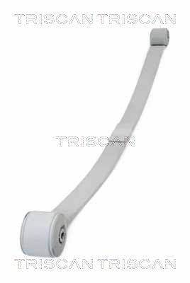 Triscan Federnpaket 8765 16045 FüR Ford-image