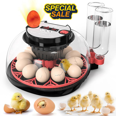 Incubators for Hatching Eggs,12 Egg Incubator with Automatic Turning and Humidit