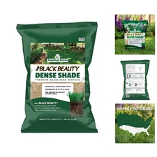 Jonathan Green 25 lb Black Beauty Shade Grass Seed - Fast Germination & Coverage