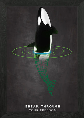 Virtual Reality Orca Framed Wall Art Poster Canvas Print Picture