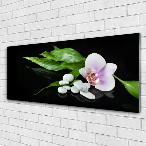 Impression sur verre Image tableaux 125x50 Floral Tulipes