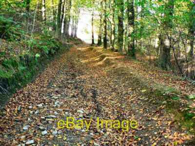 Foto 6x4 Fußweg Llantrisant Wald Coedely Wie die Waldwege werden c2008