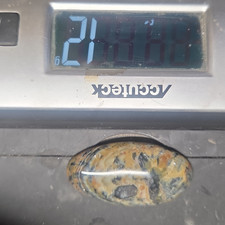 Prairie Agate Cabochon Beige Gray Black Brown 1 3/4 x 1 x 5/16 12g