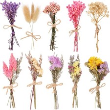 VAIPI 10 Pack Dried Flower Bouquets Various Dried Flower Combinations with Stem