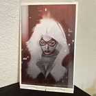 The Amazing Spider-Man #9 Virgin Variant Black Cat Dekal