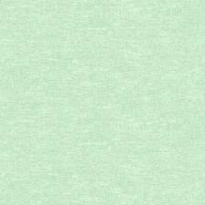 Cotton Shot By Benartex - Mint  9636-46
