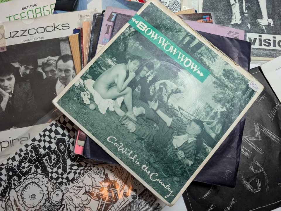 Huge Vintage Vinyl Collection, Punk, New Wave, Limited Editions, Colored Vinyls - Image 3 of 4