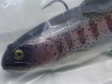 HUDDLESTON - SUPER RARE MODEL - 8 INCH ROF 12 - LIMITED EDITION COLOR - SWIMBAIT