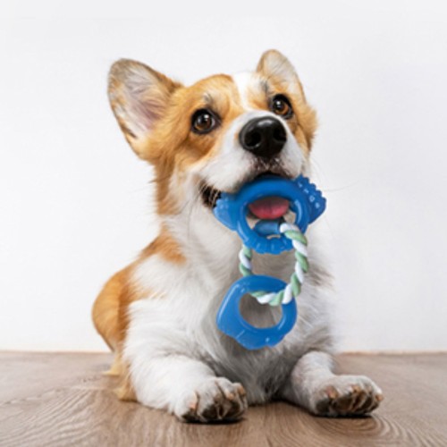 Petstages Orka Dentalinks Welpen Kauspielzeug für kleine Rassen & Welpen: Neu mit Etikett - Bild 7 von 9